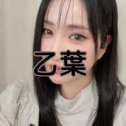 ヒメ日記 2025/09/19 15:34 投稿 乙葉 桃李（とうり）