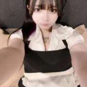 ヒメ日記 2025/07/31 13:50 投稿 めあ アリスカフェ