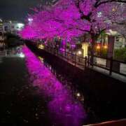 なお こんばんは② セクシーキャット 小田原店