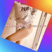 ヒメ日記 2025/06/13 09:05 投稿 まりな ドMな団地妻 名古屋・池下店