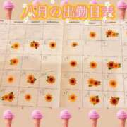 ヒメ日記 2025/07/12 00:05 投稿 まりな ドMな団地妻 名古屋・池下店