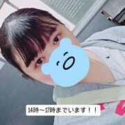 ヒメ日記 2025/06/10 14:15 投稿 まどか 白いぽっちゃりさん仙台店