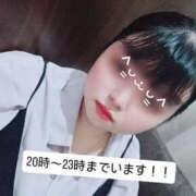 ヒメ日記 2025/06/20 20:21 投稿 まどか 白いぽっちゃりさん仙台店