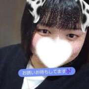 ヒメ日記 2025/10/31 19:08 投稿 まどか 白いぽっちゃりさん仙台店