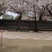 ヒメ日記 2025/04/12 11:46 投稿 なお 久留米デリヘルセンター