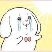 ヒメ日記 2025/10/19 13:51 投稿 石田　みお ギン妻パラダイス 谷九店