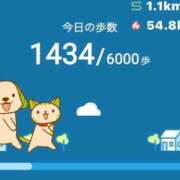 ヒメ日記 2025/11/08 12:52 投稿 石田　みお ギン妻パラダイス 谷九店