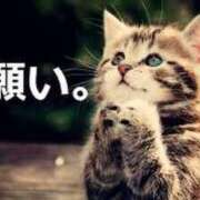 ヒメ日記 2025/11/09 13:15 投稿 石田　みお ギン妻パラダイス 谷九店