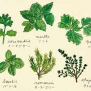 ヒメ日記 2025/11/10 18:03 投稿 石田　みお ギン妻パラダイス 谷九店