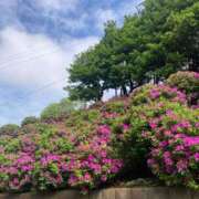 ヒメ日記 2025/04/25 22:06 投稿 石川　さくら 30・40・50代☆人妻熟女コレクション