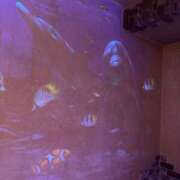 ヒメ日記 2025/04/29 22:12 投稿 石川　さくら 30・40・50代☆人妻熟女コレクション