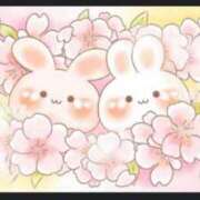 ヒメ日記 2025/06/02 20:16 投稿 石川　さくら 30・40・50代☆人妻熟女コレクション