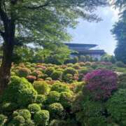 ヒメ日記 2025/06/16 16:15 投稿 石川　さくら 30・40・50代☆人妻熟女コレクション