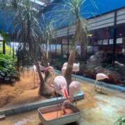 ヒメ日記 2025/07/28 20:56 投稿 石川　さくら 30・40・50代☆人妻熟女コレクション