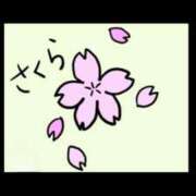 ヒメ日記 2025/08/04 08:48 投稿 石川　さくら 30・40・50代☆人妻熟女コレクション