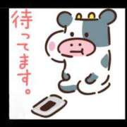 ヒメ日記 2025/08/31 09:24 投稿 石川　さくら 30・40・50代☆人妻熟女コレクション