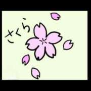 ヒメ日記 2025/09/27 06:30 投稿 石川　さくら 30・40・50代☆人妻熟女コレクション