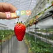 石川　さくら 来週の予定 30・40・50代☆人妻熟女コレクション