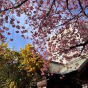 ヒメ日記 2026/03/07 17:20 投稿 石川　さくら 30・40・50代☆人妻熟女コレクション