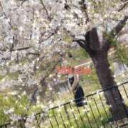 ヒメ日記 2026/04/05 00:01 投稿 石川　さくら 30・40・50代☆人妻熟女コレクション