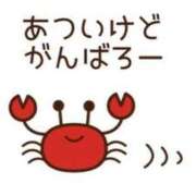 ヒメ日記 2026/08/05 09:38 投稿 石川　さくら 30・40・50代☆人妻熟女コレクション