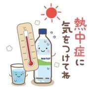 石川　さくら しゅっきーん 30・40・50代☆人妻熟女コレクション