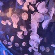 ヒメ日記 2025/05/24 19:21 投稿 まひろ エデンR