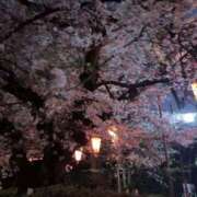 ヒメ日記 2026/04/05 12:39 投稿 まひろ エデンR