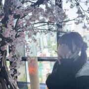ヒメ日記 2026/04/23 19:09 投稿 まひろ エデンR