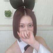 ヒメ日記 2025/04/17 20:01 投稿 ひびき JAPAN CLUB BUNNY LOUNGE