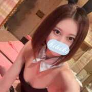 ヒメ日記 2025/04/22 12:00 投稿 ひびき JAPAN CLUB BUNNY LOUNGE