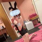ヒメ日記 2025/06/01 12:03 投稿 ひびき JAPAN CLUB BUNNY LOUNGE