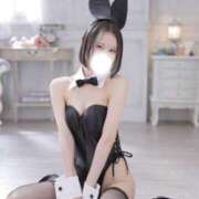 ヒメ日記 2026/02/23 12:04 投稿 ひびき JAPAN CLUB BUNNY LOUNGE