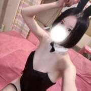 ヒメ日記 2026/03/25 05:30 投稿 ひびき JAPAN CLUB BUNNY LOUNGE
