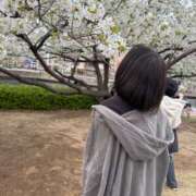 ヒメ日記 2026/03/31 12:03 投稿 ひびき JAPAN CLUB BUNNY LOUNGE