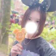 ヒメ日記 2026/04/29 05:30 投稿 ひびき JAPAN CLUB BUNNY LOUNGE