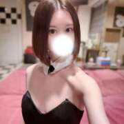 ヒメ日記 2026/04/29 14:02 投稿 ひびき JAPAN CLUB BUNNY LOUNGE