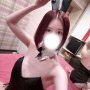 ヒメ日記 2026/05/23 05:30 投稿 ひびき JAPAN CLUB BUNNY LOUNGE