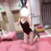 ヒメ日記 2026/08/27 05:30 投稿 ひびき JAPAN CLUB BUNNY LOUNGE