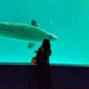 ヒメ日記 2025/08/15 14:31 投稿 れんな JAPAN CLUB BUNNY LOUNGE