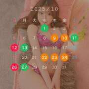 ヒメ日記 2025/10/01 15:53 投稿 れんな JAPAN CLUB BUNNY LOUNGE