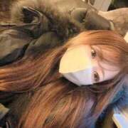 ヒメ日記 2026/04/09 18:41 投稿 れんな JAPAN CLUB BUNNY LOUNGE