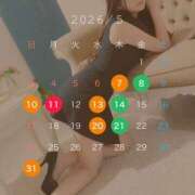 れんな 5月シフト🗓と新たな試み JAPAN CLUB BUNNY LOUNGE