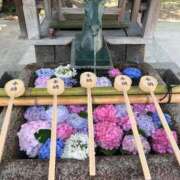 ヒメ日記 2026/08/14 19:02 投稿 れんな JAPAN CLUB BUNNY LOUNGE