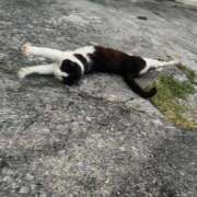 ヒメ日記 2025/06/21 15:03 投稿 いおり Profile～プロフィール～（那覇）