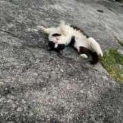 ヒメ日記 2025/06/26 19:21 投稿 いおり Profile～プロフィール～（那覇）