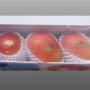 ヒメ日記 2025/08/10 04:15 投稿 いおり Profile～プロフィール～（那覇）