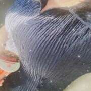 ヒメ日記 2026/04/21 17:48 投稿 いおり Profile～プロフィール～（那覇）