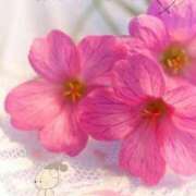 ヒメ日記 2025/08/22 18:38 投稿 あいな☆業界初☆店長おススメ 奥さま日記（大洲店）