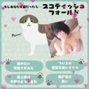 ヒメ日記 2025/10/06 13:18 投稿 あい Limited SPA(リミテッドスパ)